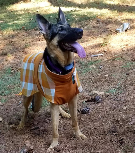 Whiskey Throw and Go Coat - Orange Check