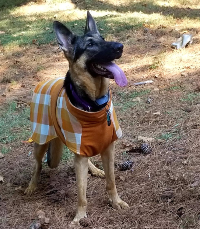 Whiskey Throw and Go Coat - Orange Check