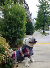 Load image into Gallery viewer, Whiskey Throw and Go Coat - Navy/Maroon