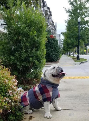 Whiskey Throw and Go Coat - Navy/Maroon