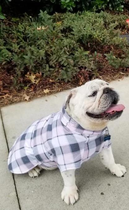 Whiskey Throw and Go Coat - Pink/Grey