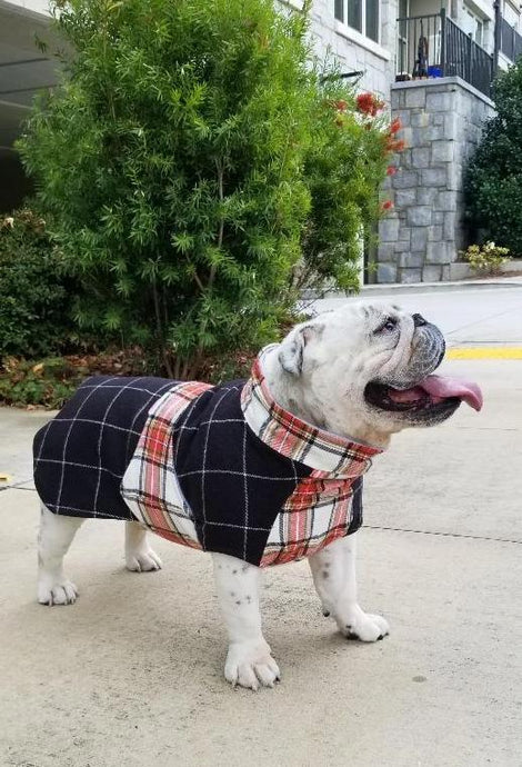 Whiskey Throw and Go Coat - Black/Red Check