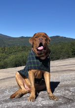 Load image into Gallery viewer, Winston Vest - Blue/Green