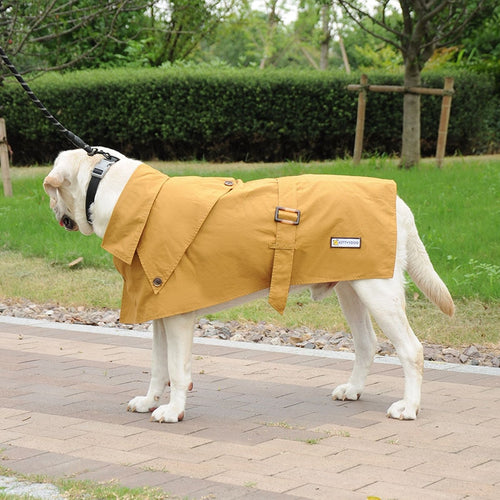 Sherlock Trench Coat - Color Options