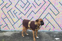 Load image into Gallery viewer, Whiskey Throw and Go Coat - Chocolate/Tan