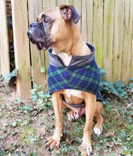 Load image into Gallery viewer, Winston Vest - Blue/Green